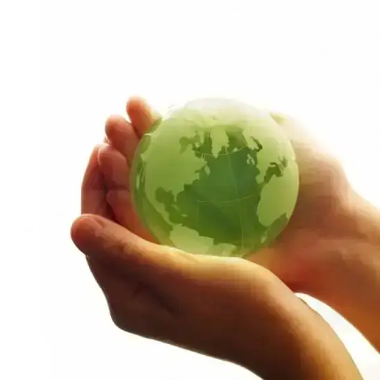 a close-up of a hand holding a green globe